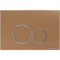 Панель смыва Burke Тип 05 105.RH.1 (розовое золото/хром глянцевый)