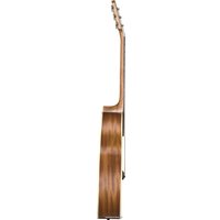 Акустическая гитара Baton Rouge X11S/OM
