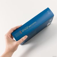 Книга издательства Альпина Диджитал. Вечная мерзлота (Ремизов В.)