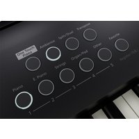 Цифровое пианино Roland FP-E50