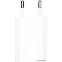 Сетевое зарядное Apple 5W USB Power Adapter MGN13ZM/A