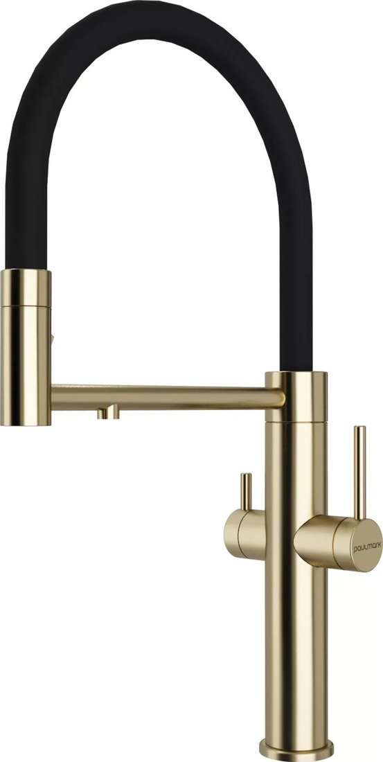 Смеситель Paulmark Ne213999-LG
