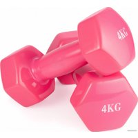 Гантель VictoryFit VF-DV040 4 кг