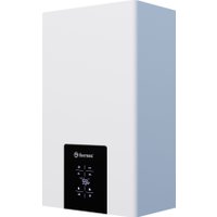 Отопительный котел Thermex Blaze FH 40