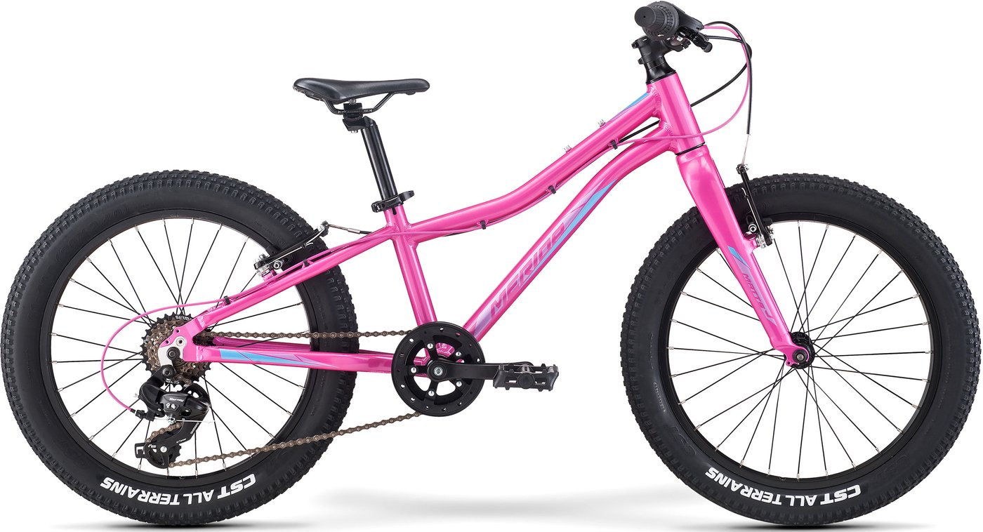 

Детский велосипед Merida Matts J20+ ECO 2022 (розовый)