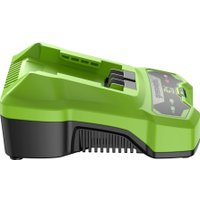 Зарядное устройство Greenworks G24C4 (24В)
