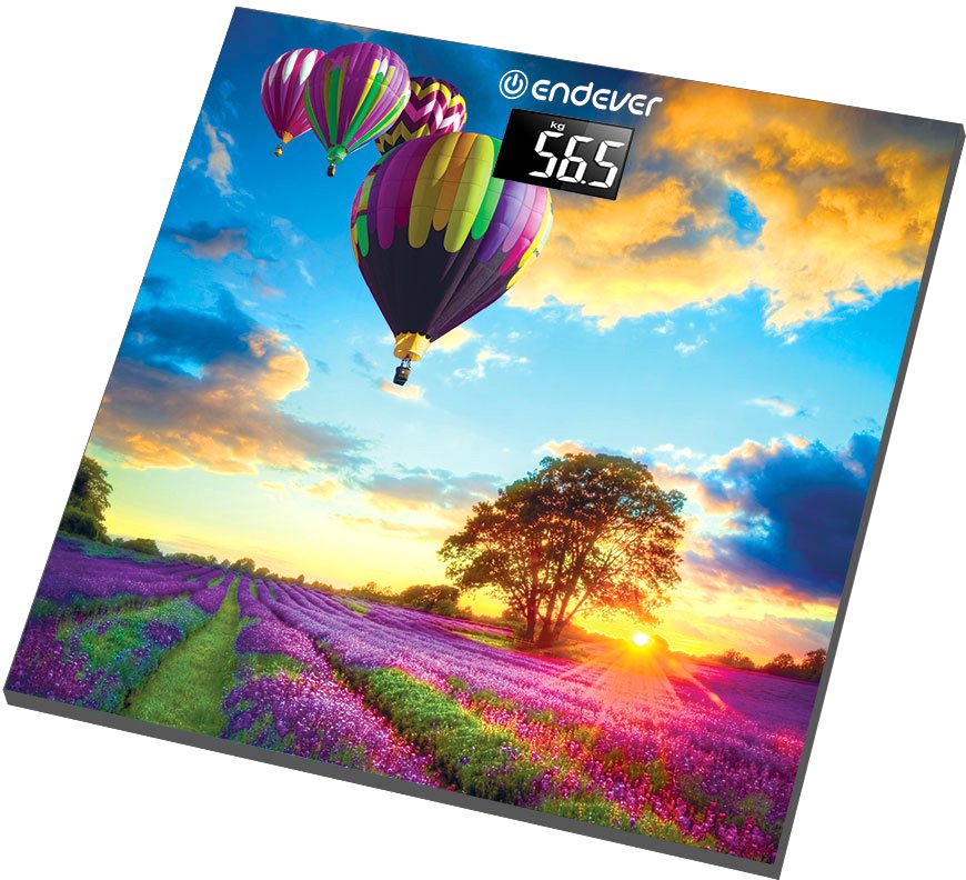 

Напольные весы Endever Aurora 551