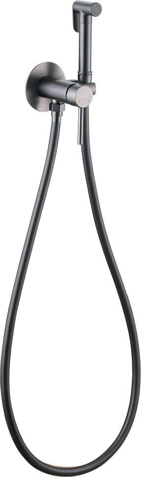Гигиенический душ Abber Wasser Kreis AF8125NG (никель)