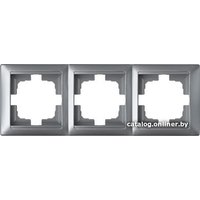 Рамка Bylectrica Стиль ЮЛИГ.735212.216 (серебристый)