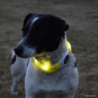 Ошейник Duvo Plus 13687/DV силиконовый, светящийся (желтый)