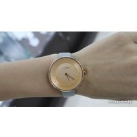 Наручные часы Skagen SKW2139