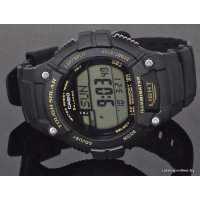 Наручные часы Casio W-S220-9A