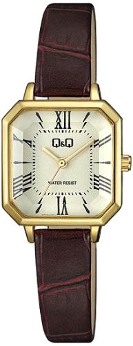 

Наручные часы Q&Q QZ73J107Y