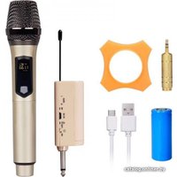 Радиосистема Biema U-801