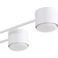 Припотолочная люстра Lumion Benua 8305/8C