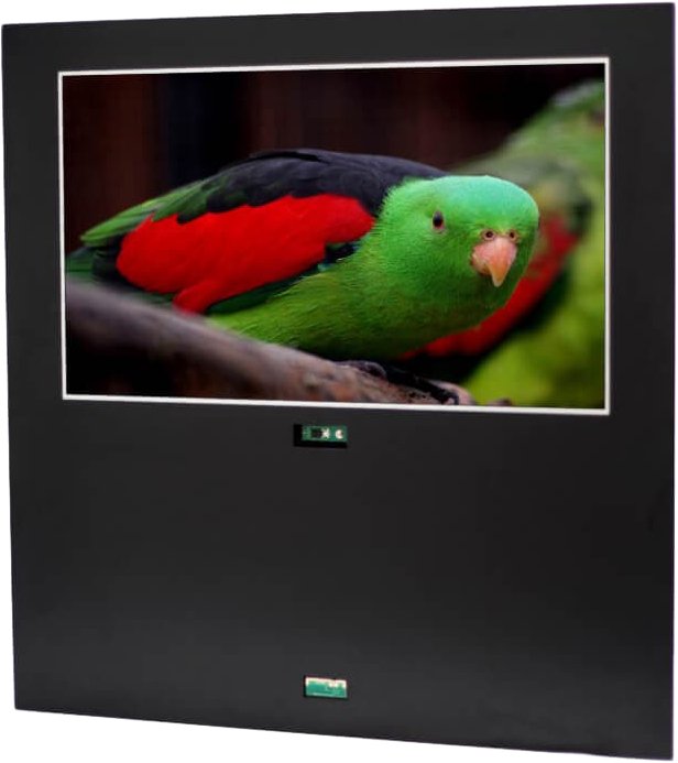 

Телевизор AVEL AVS220OF