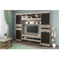 Стенка Лером Камелия-10 гостиная (гикори джексон светлый комбинированный) в Могилеве