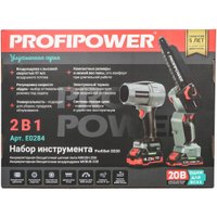  Profipower ProfiSet-2D20 (воздуходувка, цепная пила, 2 АКБ)