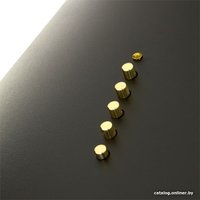 Кухонная вытяжка Akpo Dandys 60 WK-4 (черный/золотистый)