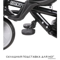 Детский велосипед Lorelli Lucky Crew (black&orange)
