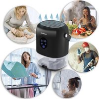 Осушитель воздуха Berdsen BR-10B (чёрный)