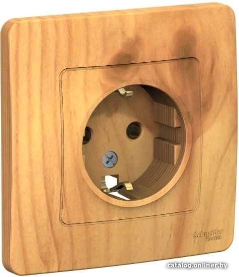 Розетка Schneider Electric BLNRS001015