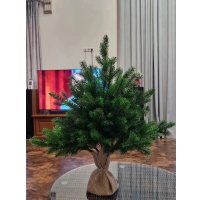 Ель National Tree Company Грация Премиум ГР/ПР-60 60 см