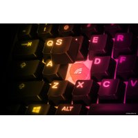 Клавиатура SteelSeries Apex 3 TKL (черный, нет кириллицы)