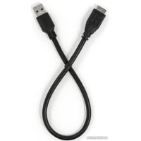 Внешний накопитель Mirex Ocean Chrome 1TB 13630-UHDOCC10