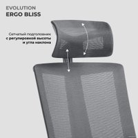 Офисное кресло Evolution ERGO BLISS Black (черный)