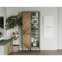 Шкаф-витрина Black Red White Siena с подсветкой REG1W1D (дымчатый зеленый/дуб вотан)