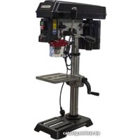 Сверлильный станок FORSAGE F-DP2501A