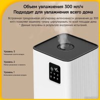 Увлажнитель воздуха Deerma DEM-F951W