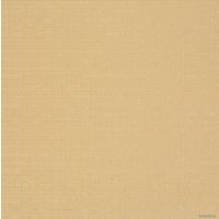 Рулонные шторы Lm Decor Лайт LM 30-07С 52x160