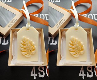 Ароматическое саше 4SOUL Монстера 2 шт (аромат Красное вино)