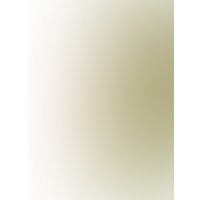 Смазка для анального секса Eska Дикий лес с органическим маслом жожоба 4813409000382 (75 мл)