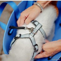 Сумка-переноска Ferplast With-me (синий)