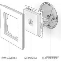 Розетка телевизионная Werkel W1184006 (серебряный)