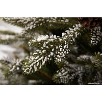 Ель GreenTerra Квебек 2.2 м