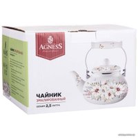 Чайник без свистка Agness Дворцовый парк 934-431