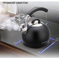 Чайник со свистком StarWind SW-CH1510 (черный)