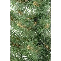 Пихта Erbis Jodla 90