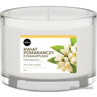 Свеча Aroma Home Scented Candle Orange Blossom And Eucalyptus Ароматическая 115 г