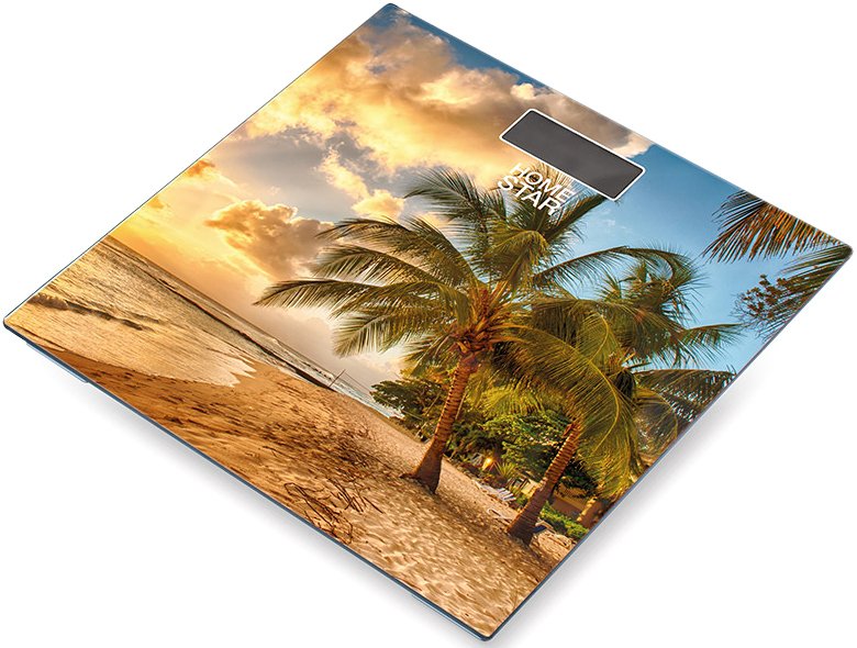 

Напольные весы HomeStar STM-11