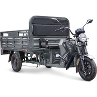 Грузовой электроскутер Rutrike D4 NEXT 1800 60V 1200W (черный)