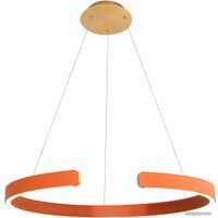 Подвесная люстра LOFT IT Ring 10025/600 Orange