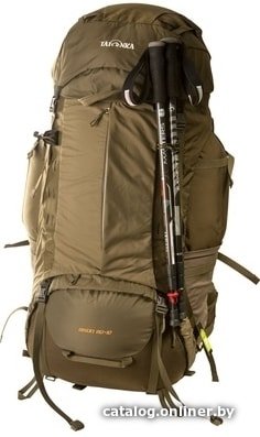 Туристический рюкзак Tatonka Bison 120+15 (olive)