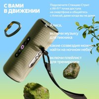 Умная колонка Яндекс Станция Стрит (серый)