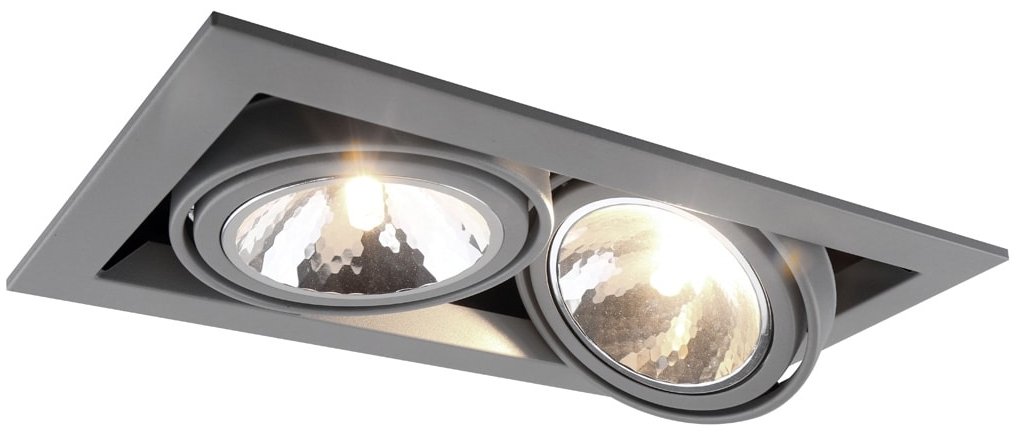 

Точечный светильник Arte Lamp Cardani A5949PL-2GY