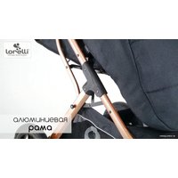 Коляска прогулочная «книга» Lorelli Storm 2021 (steel grey)